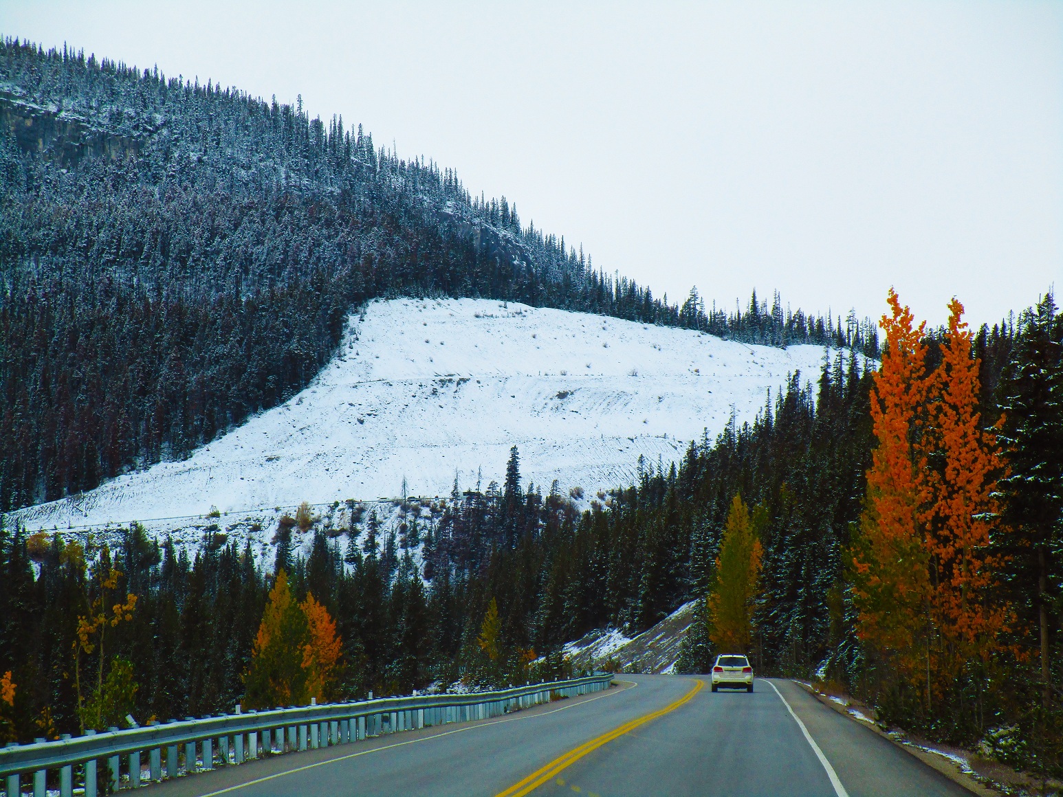 Rockies Glacier views