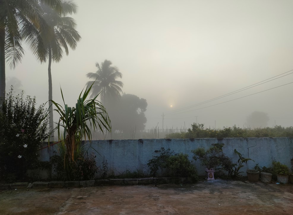 Realme GT 5G camera sample. Credit: DH Photo/KVN Rohit