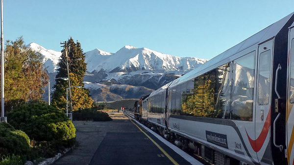 TranzAlpine waiting waiting at Springfield.