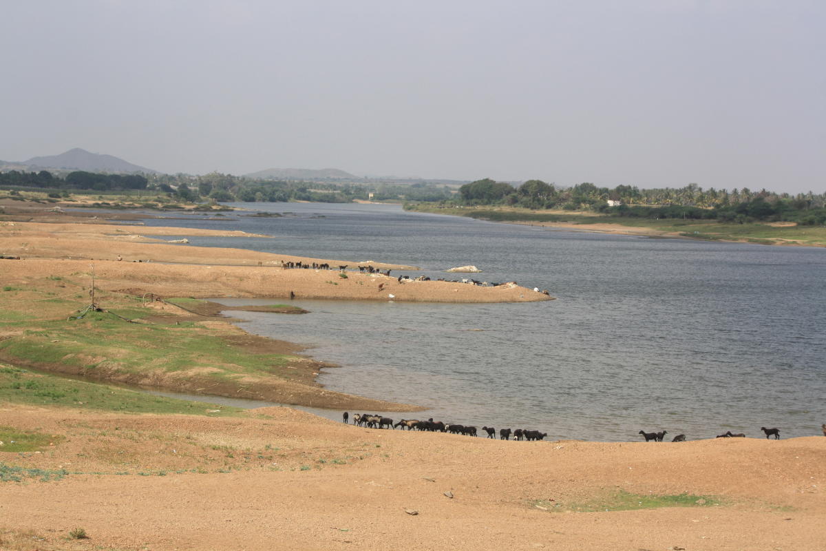 Tungabhadra