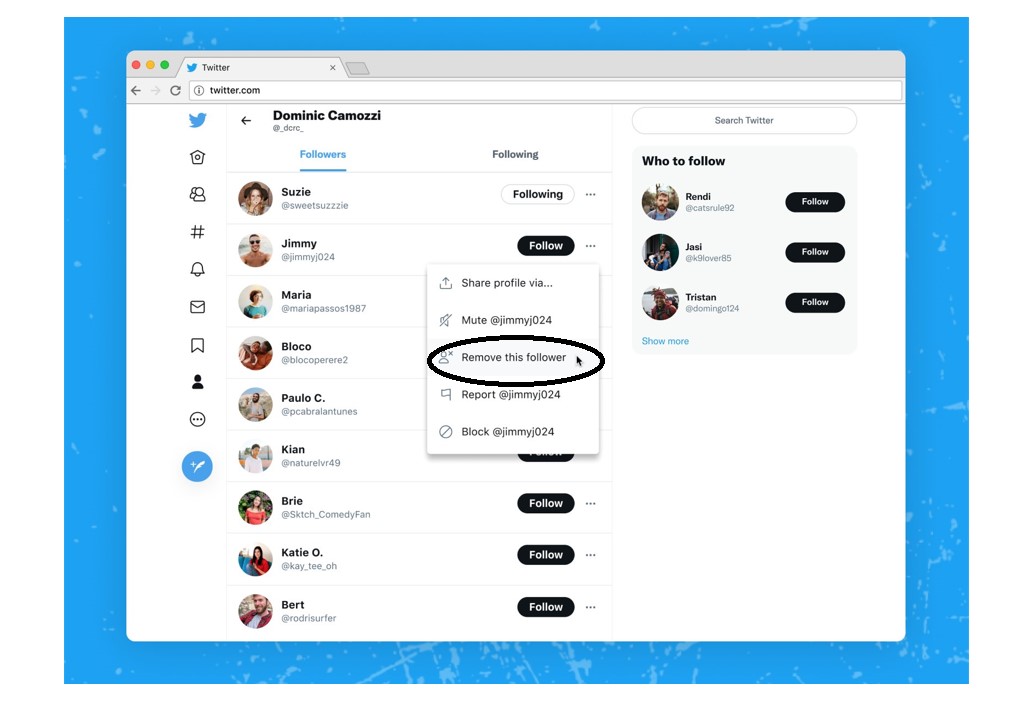 'Remove this follower' feature on Twitter. Credit: Twitter