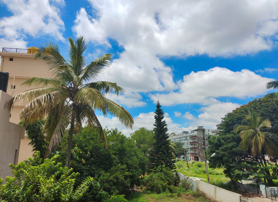 Vivo X50 Pro camera sample. Credit: DH Photo/KVN Rohit