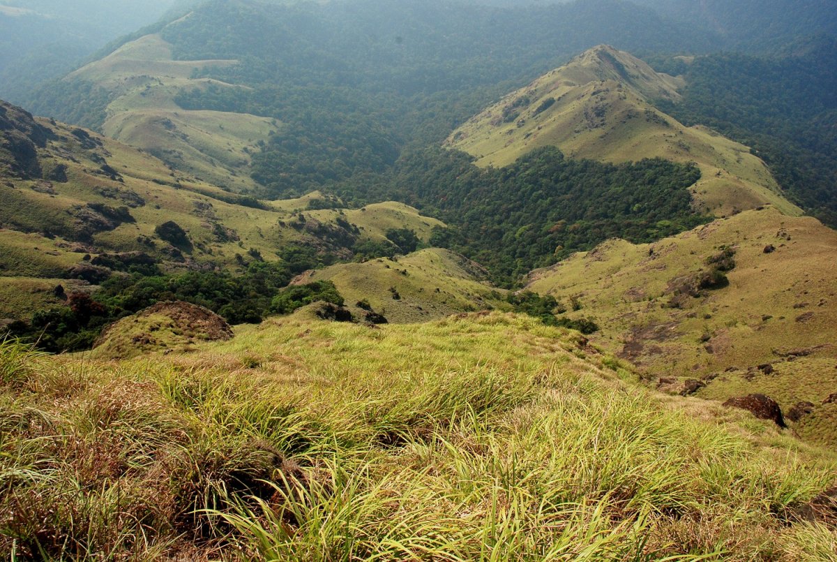 View from the Tadiandamol peak