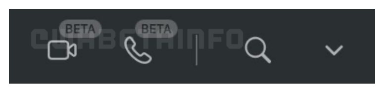 WhatsApp Web Beta version with video and voice calling features. Credit: WABetaInfo