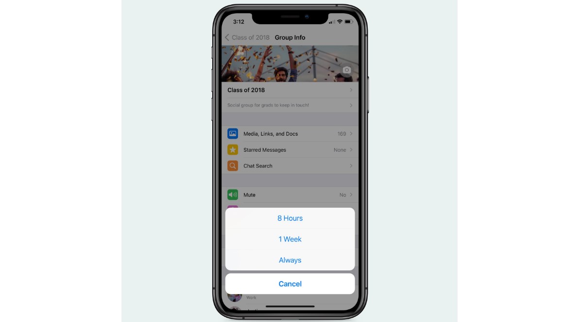 WhatsApp brings 'Always' option comes to notification mute feature. Credit: WhatsApp