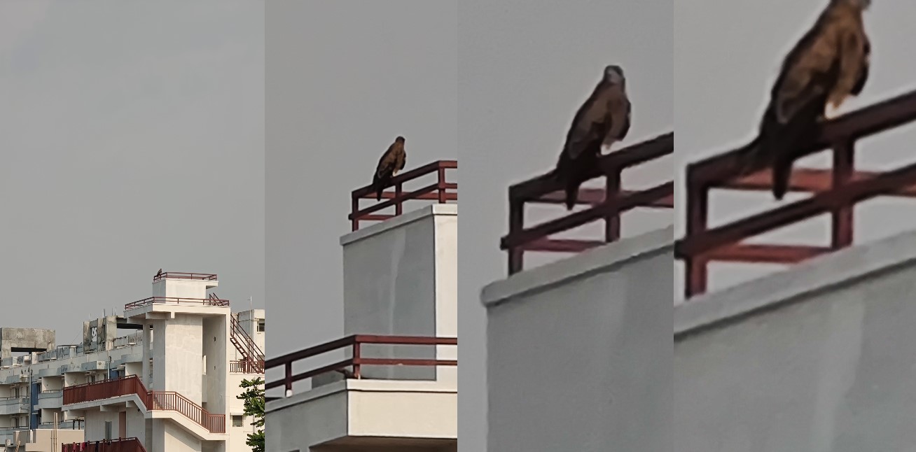 Xiaomi Mi 11 Ultra's camera sample with Zoom feature. Credit: DH Photo/KVN Rohit
