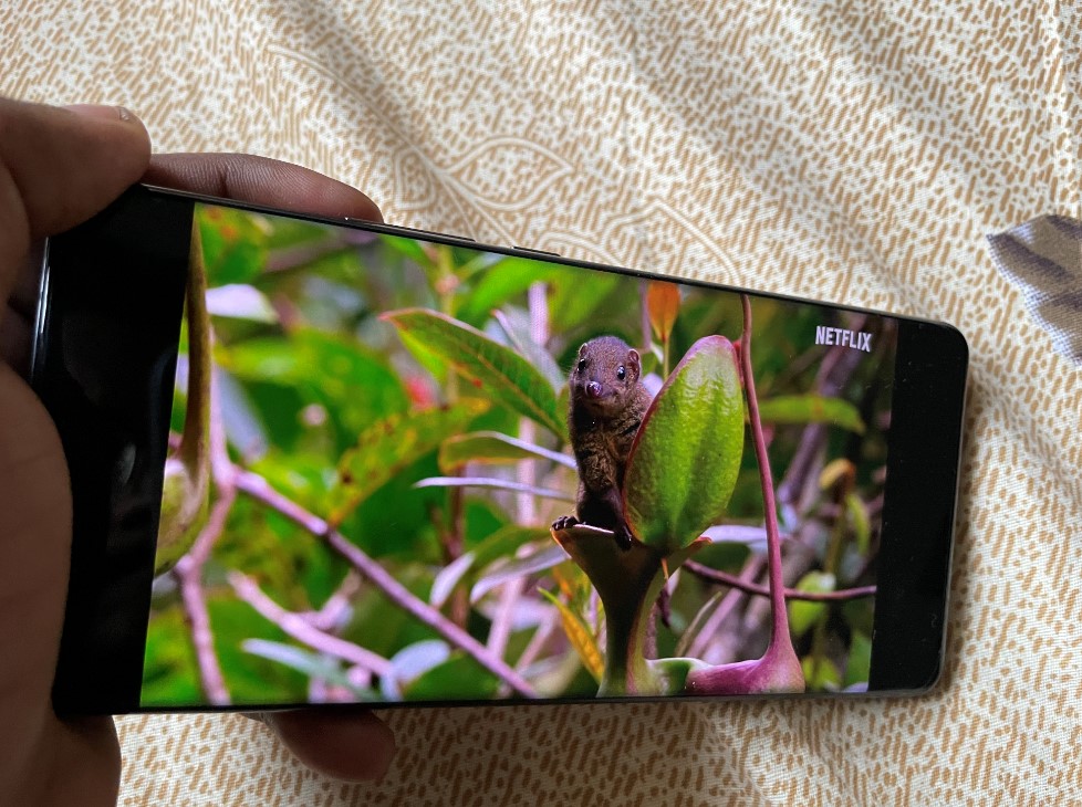 Xiaomi Mi 11 Ultra. Credit: DH Photo/KVN Rohit