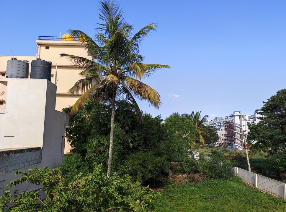 Xiaomi Mi 11 Lite camera sample. Credit: DH Photo/KVN Rohit