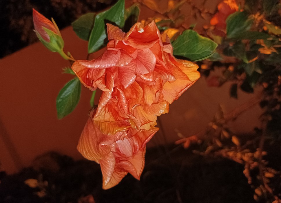 Xiaomi Redmi Note 10T 5G's camera photo sample. Credit: DH Photo/KVN Rohit