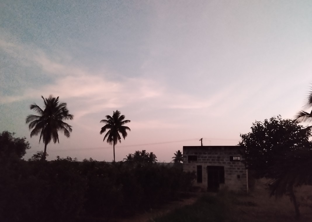 Redmi Note 12 5G camera sample taken in the evening. Credit: DH Photo/KVN Rohit