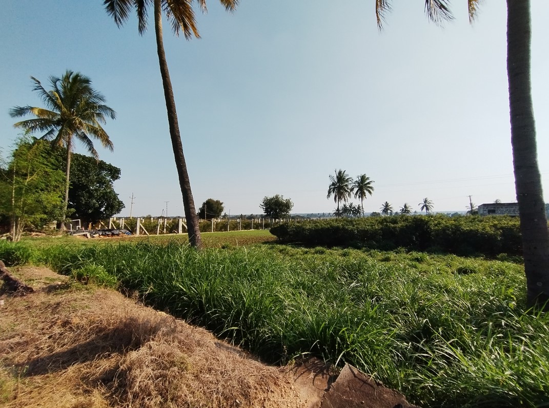 Redmi Note 12 5G camera sample with ultra-wide mode. Credit: DH Photo/KVN Rohit