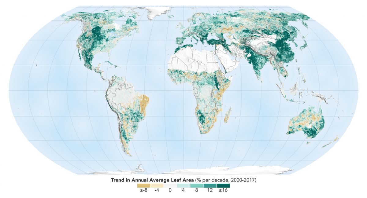 China, India dominate in greening of the planet. Credits: NASA Earth Observatory