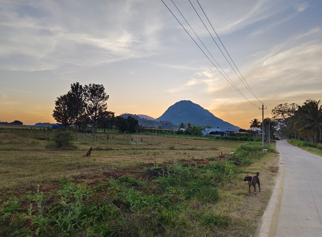 iQOO 11 5G ultra-wide camera sample. Credit: DH Photo/KVN Rohit
