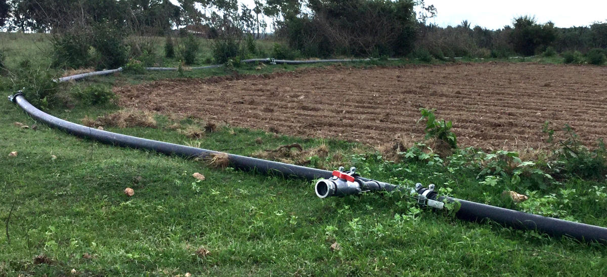 Rainwater collection unit helps farmers irrigate farmland