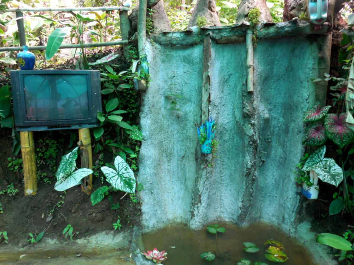 Teacher creates a garden during lockdown