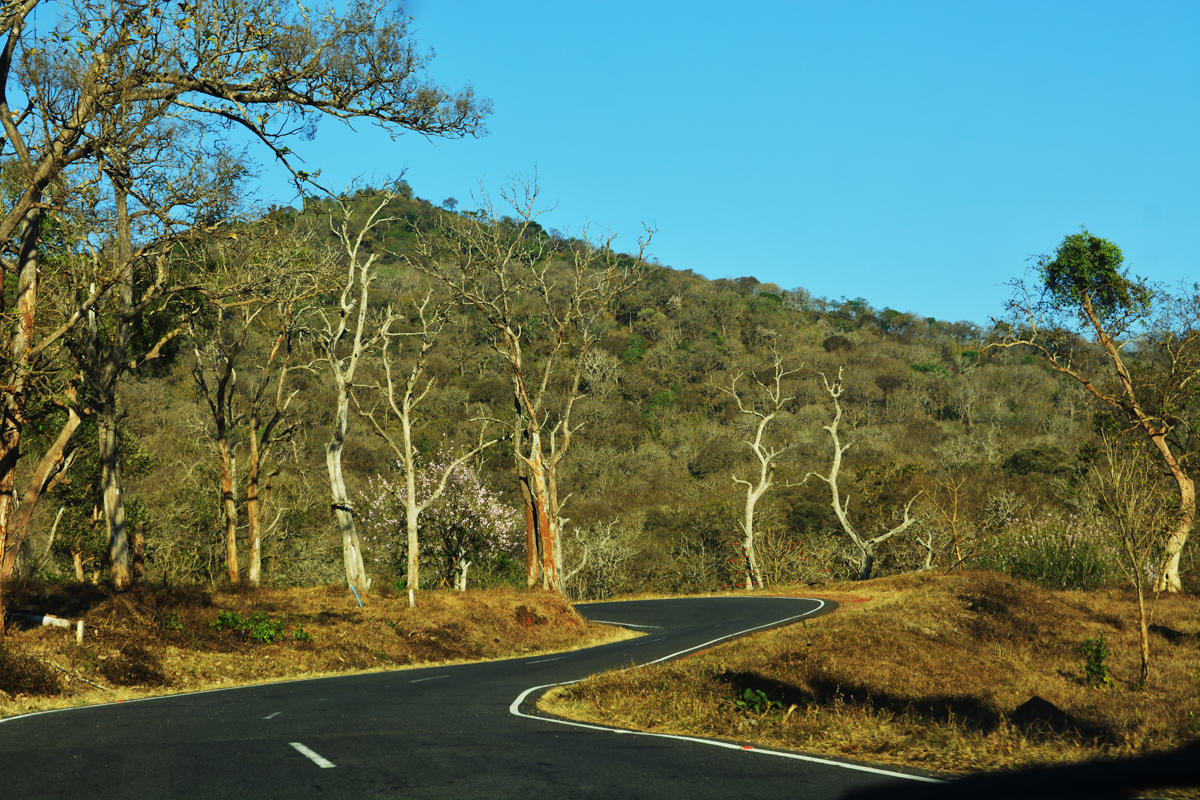 Time to check vehicles speed at national parks