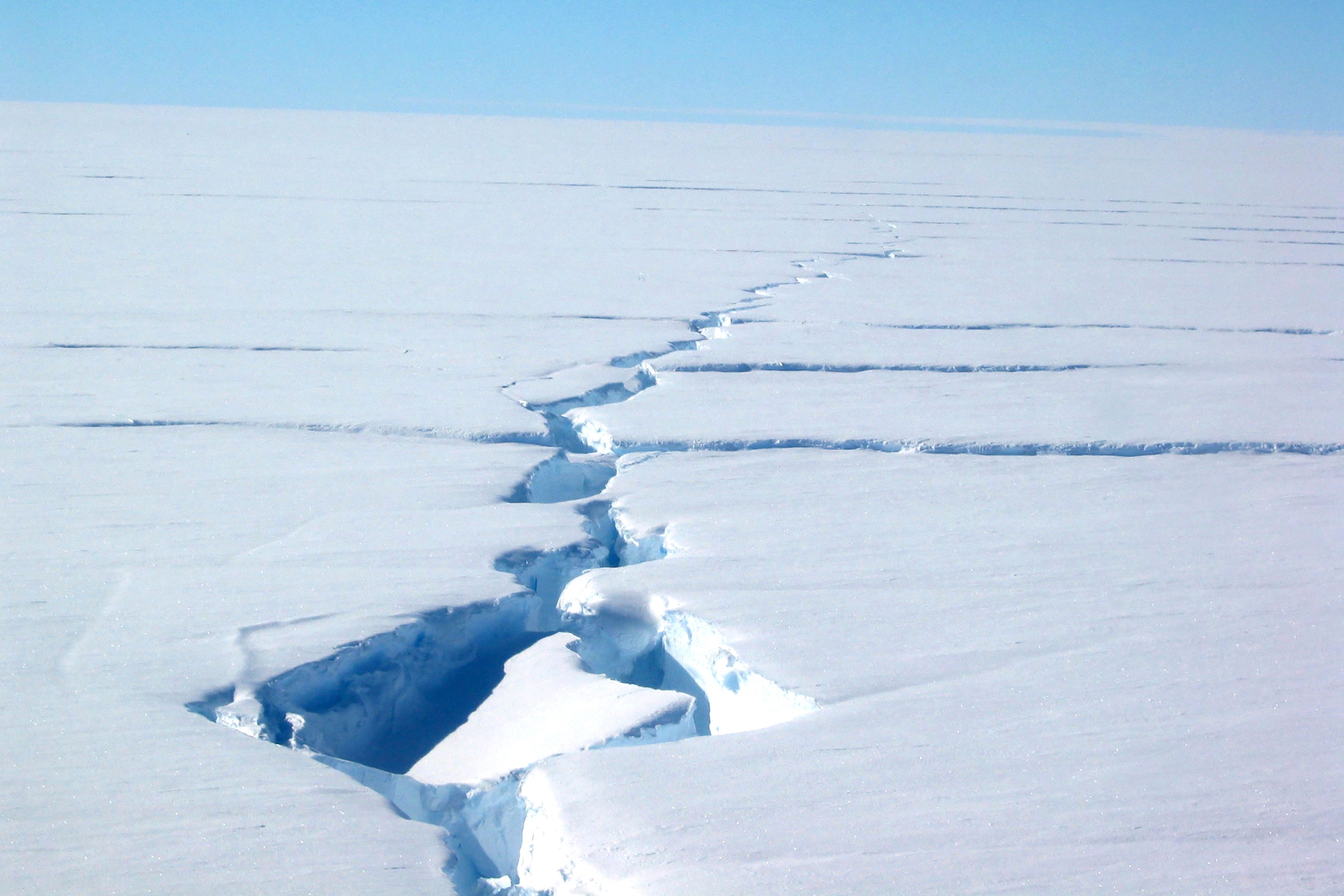 Plastic 'has entered' Antarctic terrestrial food chain
