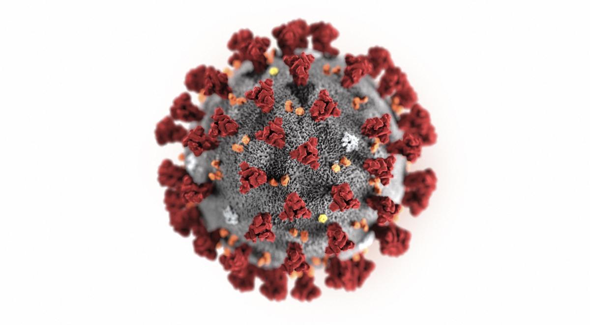 Coronavirus: Recovery rate in Mumbai-Karnataka region better than state average