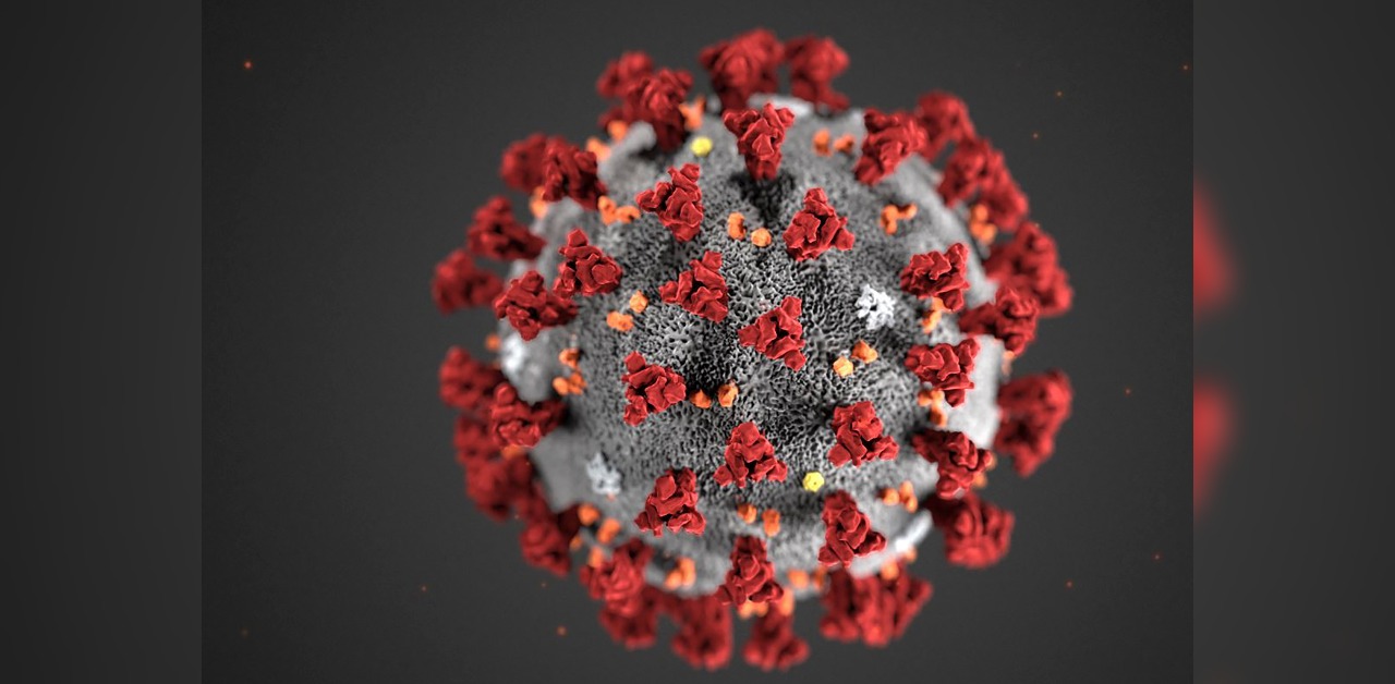 Scientists identify cellular structure that may play critical role in coronavirus replication