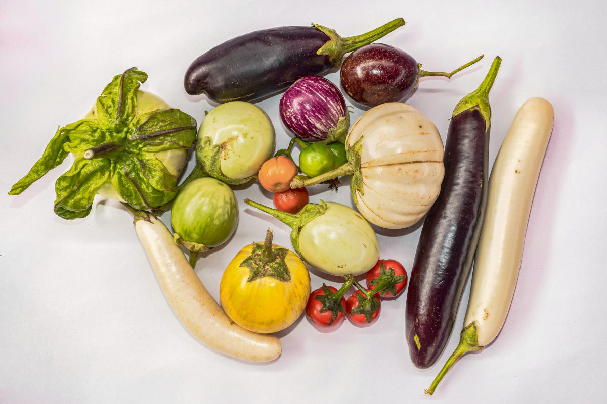 The return of desi brinjal