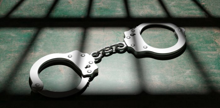 NIA arrests one more in former Jammu and Kashmir Deputy SP terror link case