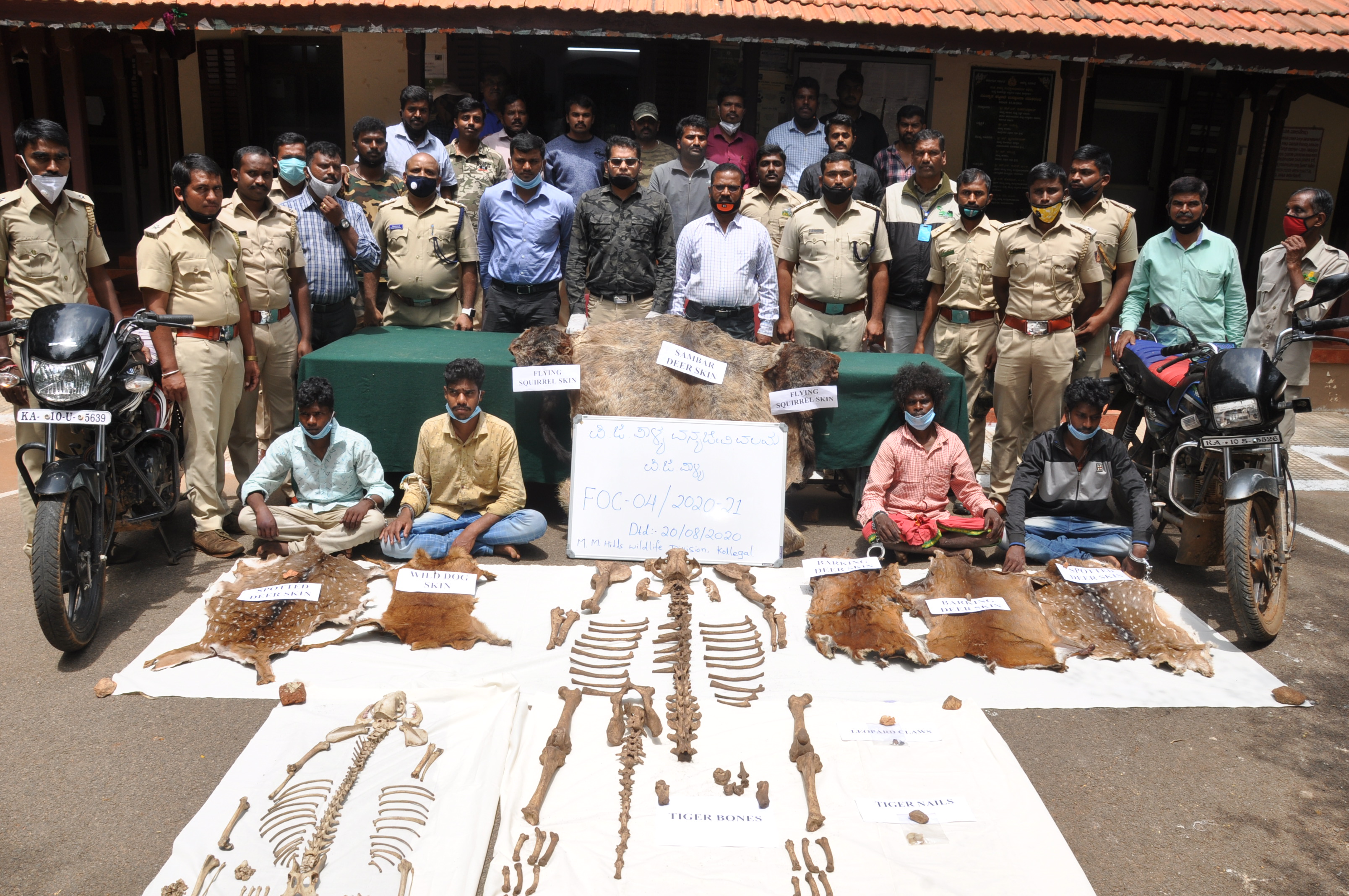 Hanur: Four poachers held; tiger pelt, claws seized