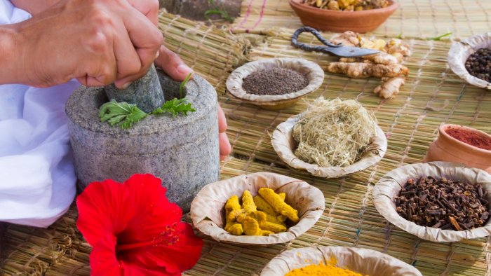Debate on Ayush protocols for Covid-19