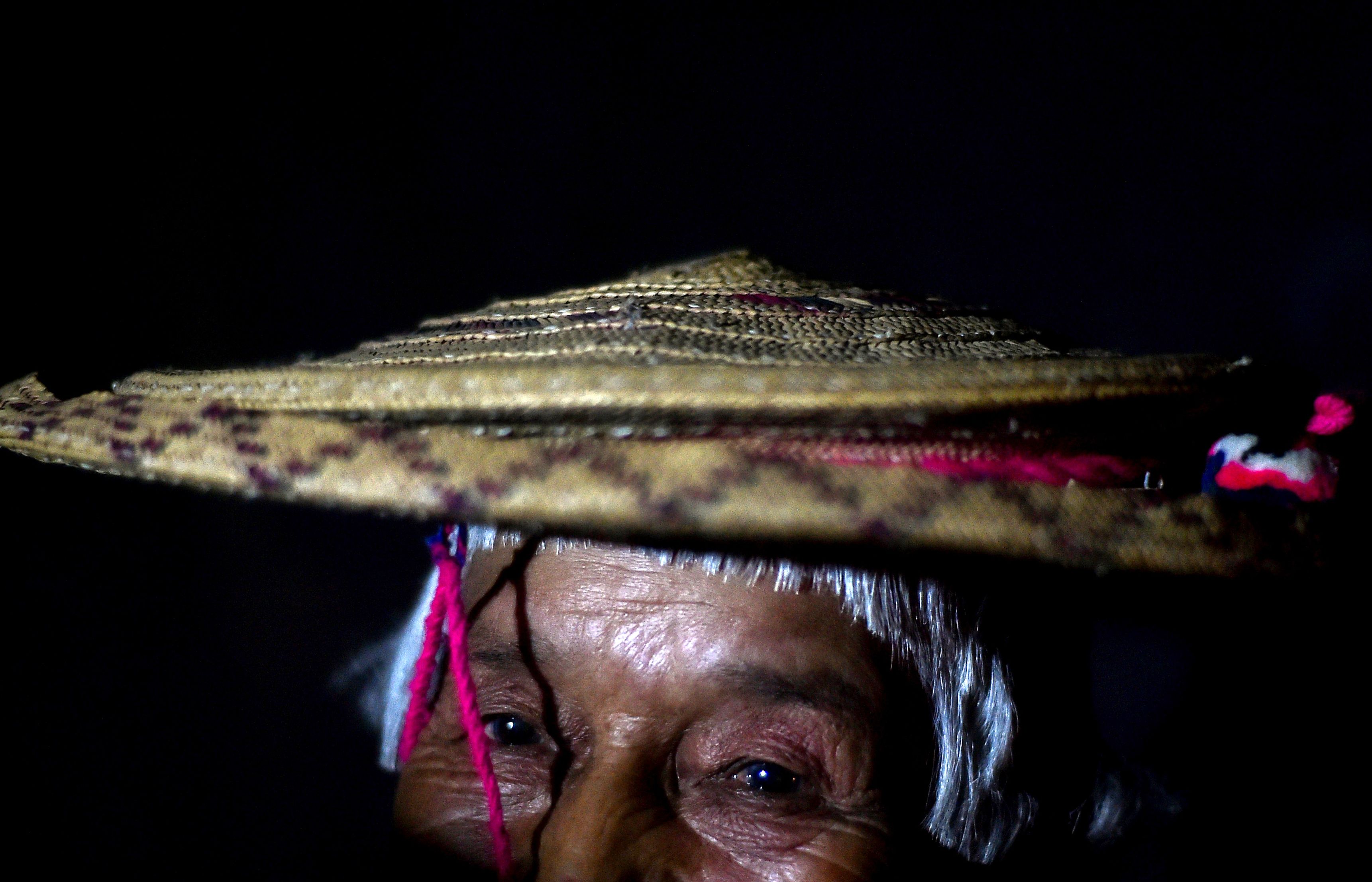 Change species names to honor indigenous peoples, not colonizers, researchers say