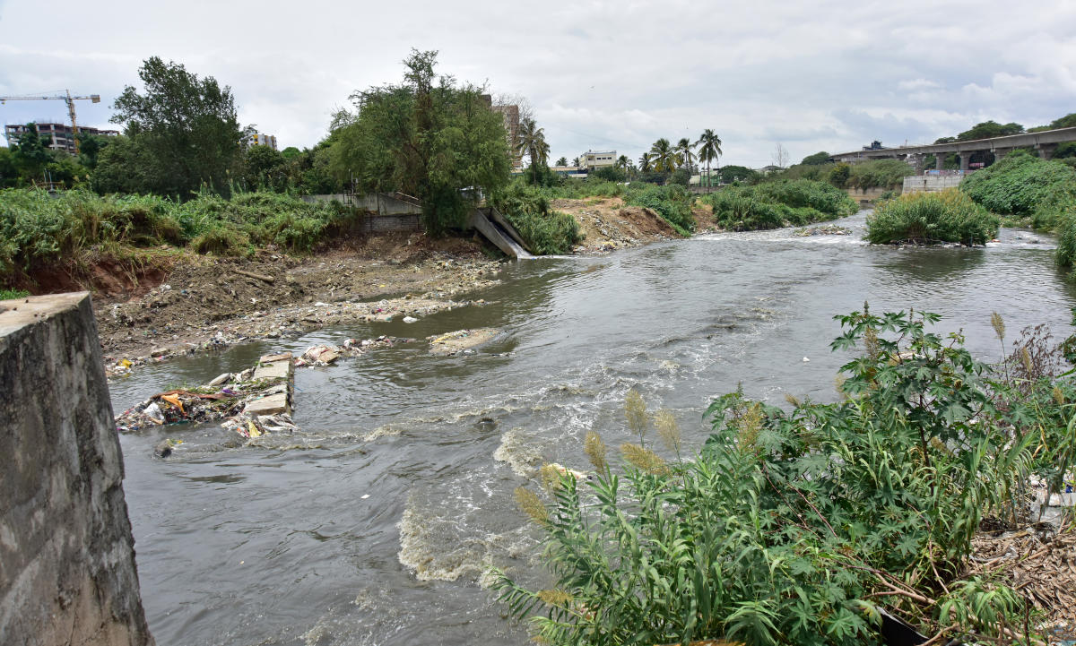 HC to monitor rejuvenation of polluted Vrushabhavathi