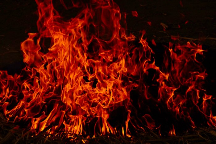Delhi govt school guest teacher attempts self-immolation accusing principal of harassment