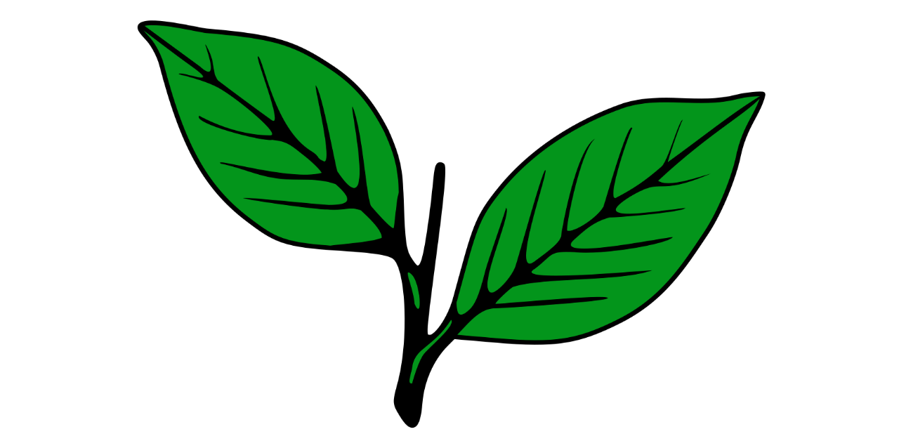 EC freezes 'two leaves' symbol of Kerala Congress (M)