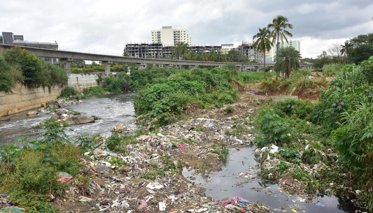 Bringing a river back to life