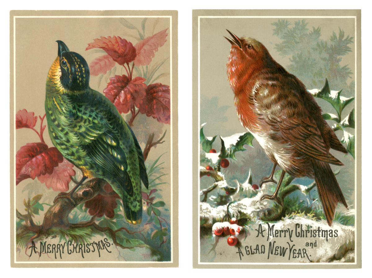 The Christmas card oddities