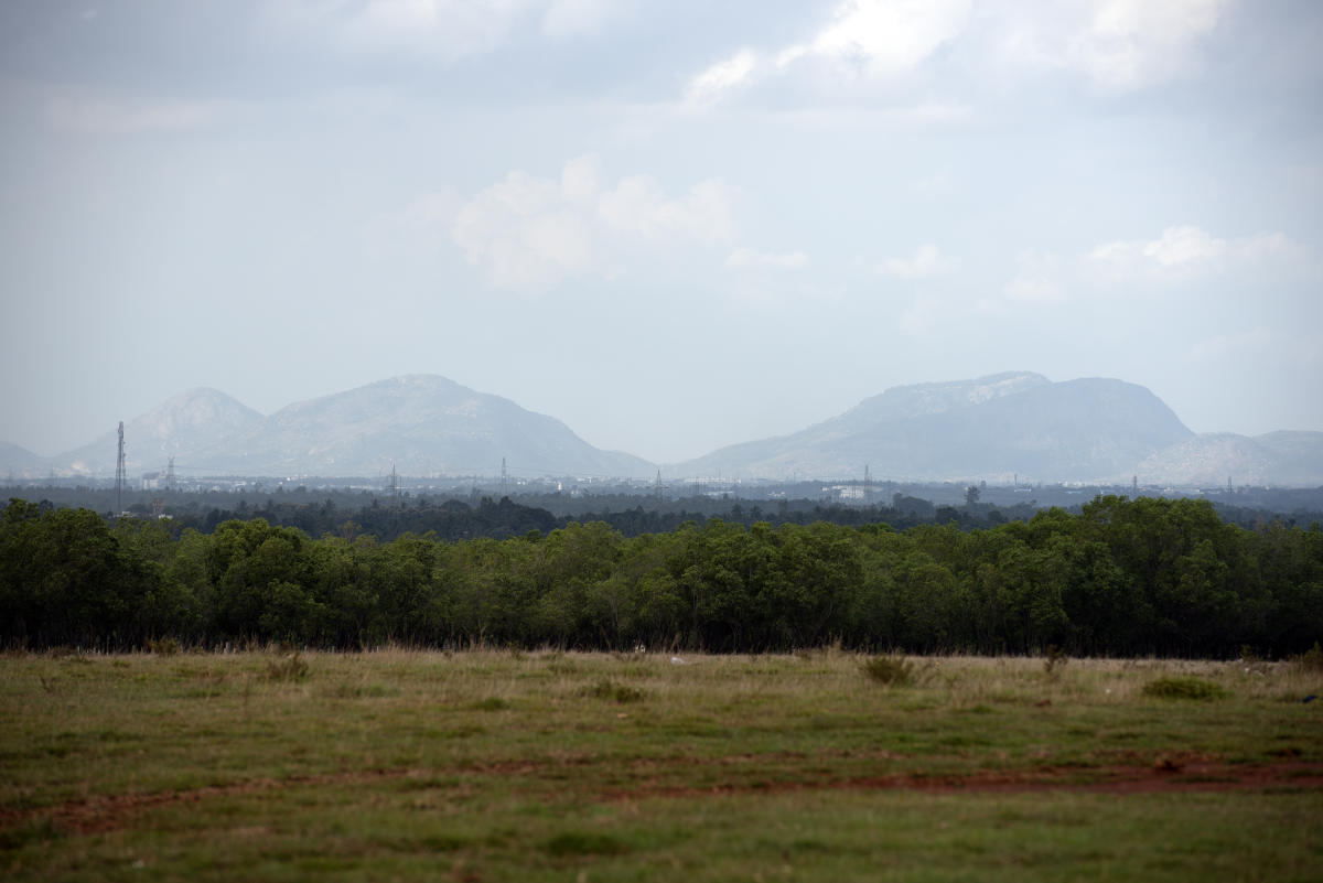 A sprawling view of Bengaluru's last-standing grassland at Hesaraghatta. PHOTO CREDIT: Mahesh Bhat