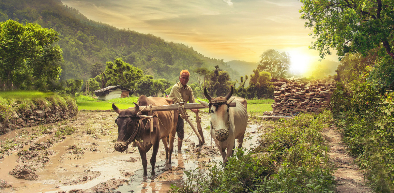 Economic Survey 2021 pitches to transform farmers from producers to entrepreneurs