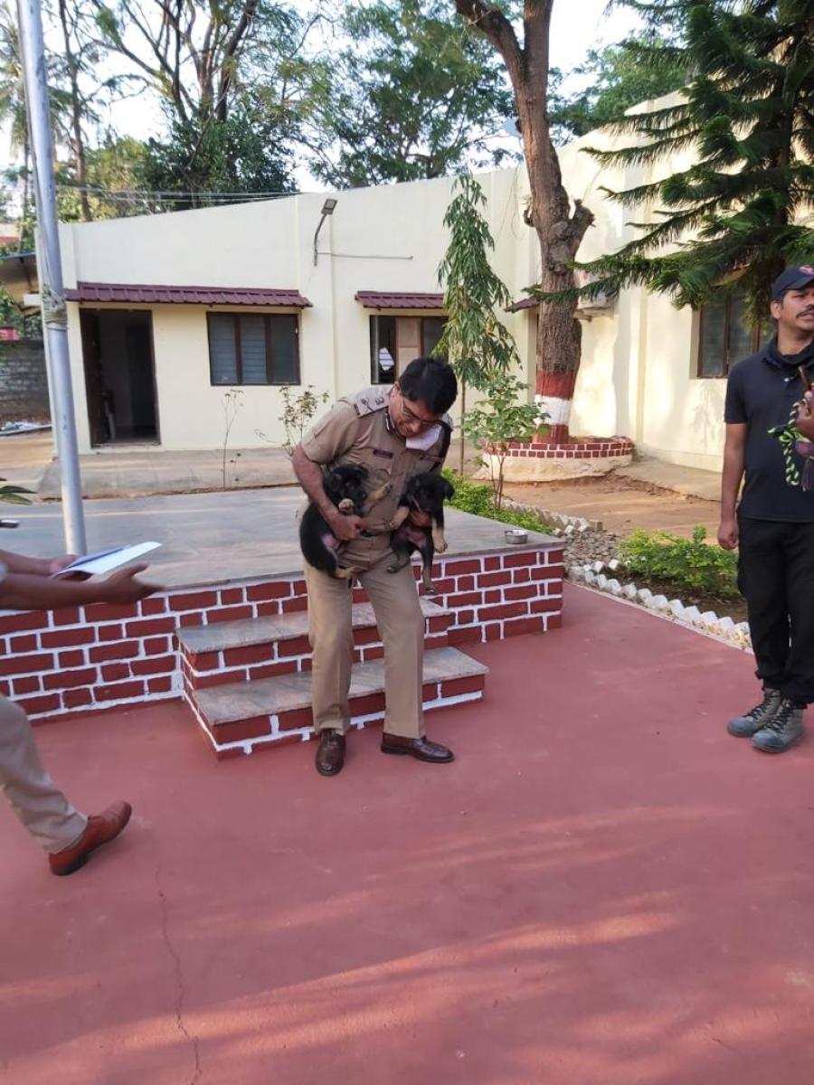 Six pups inducted into police force