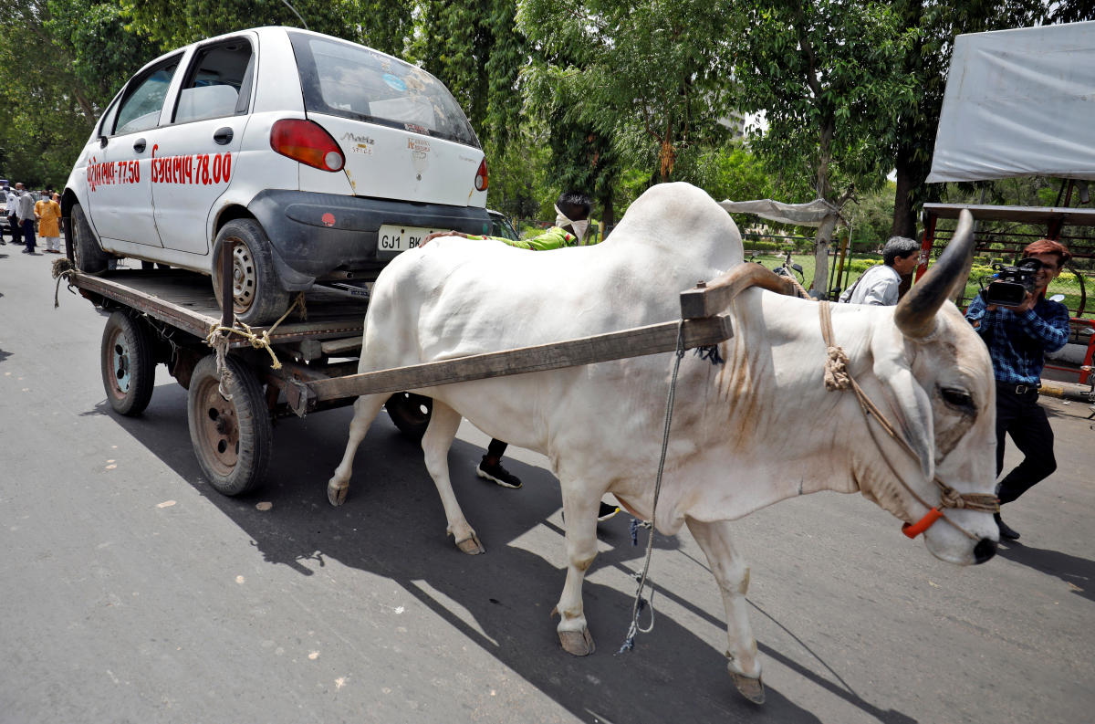 Revenue amid resentment: Why fuel prices are on a steady climb