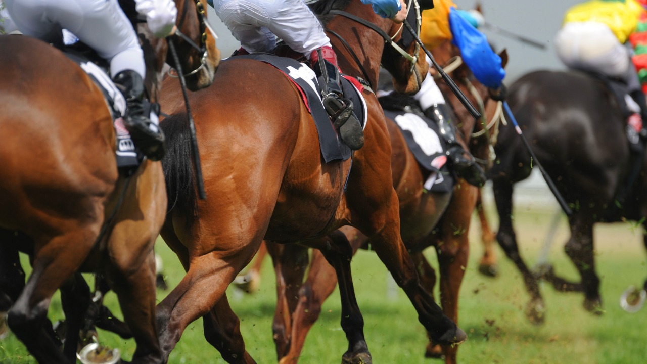 Horse-speech 