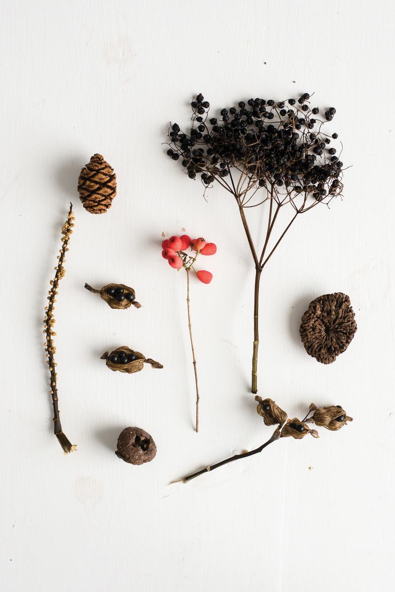 Spice of life