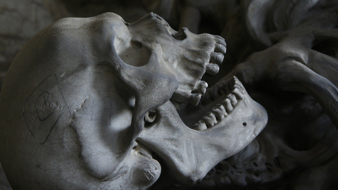 Three skeletons found under floor of house in Panipat