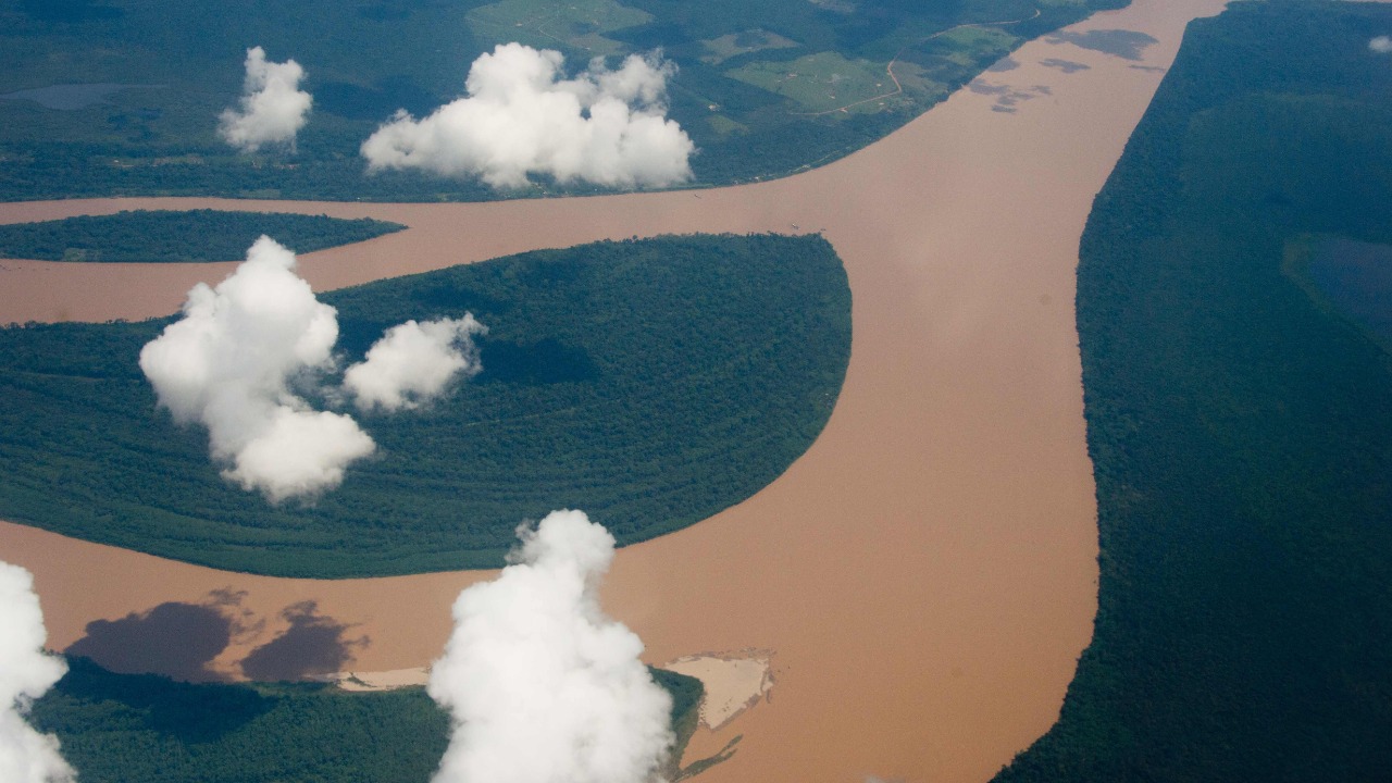 Meteor that killed dinosaurs ended up creating the Amazon rain forest, says study