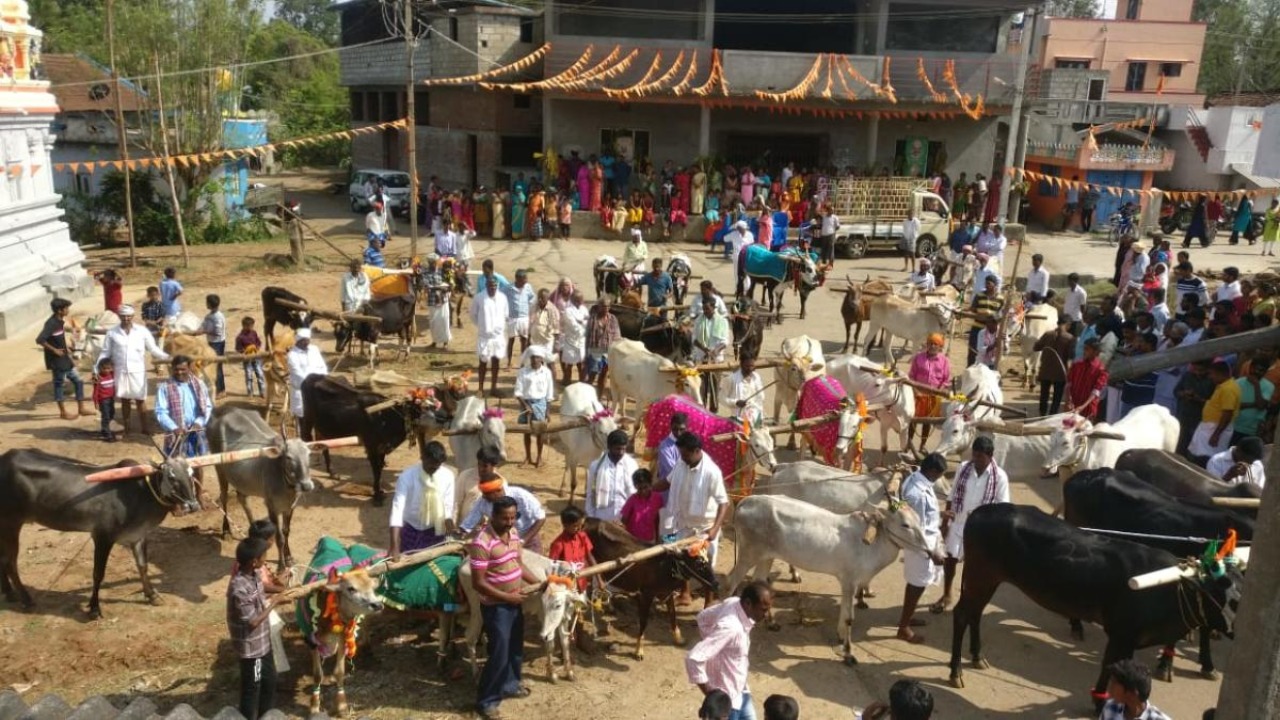 Farmers celebrate 'Honnaru Utsava' in Kodagu