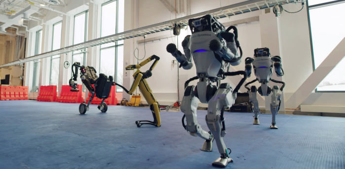 A robot for house-help