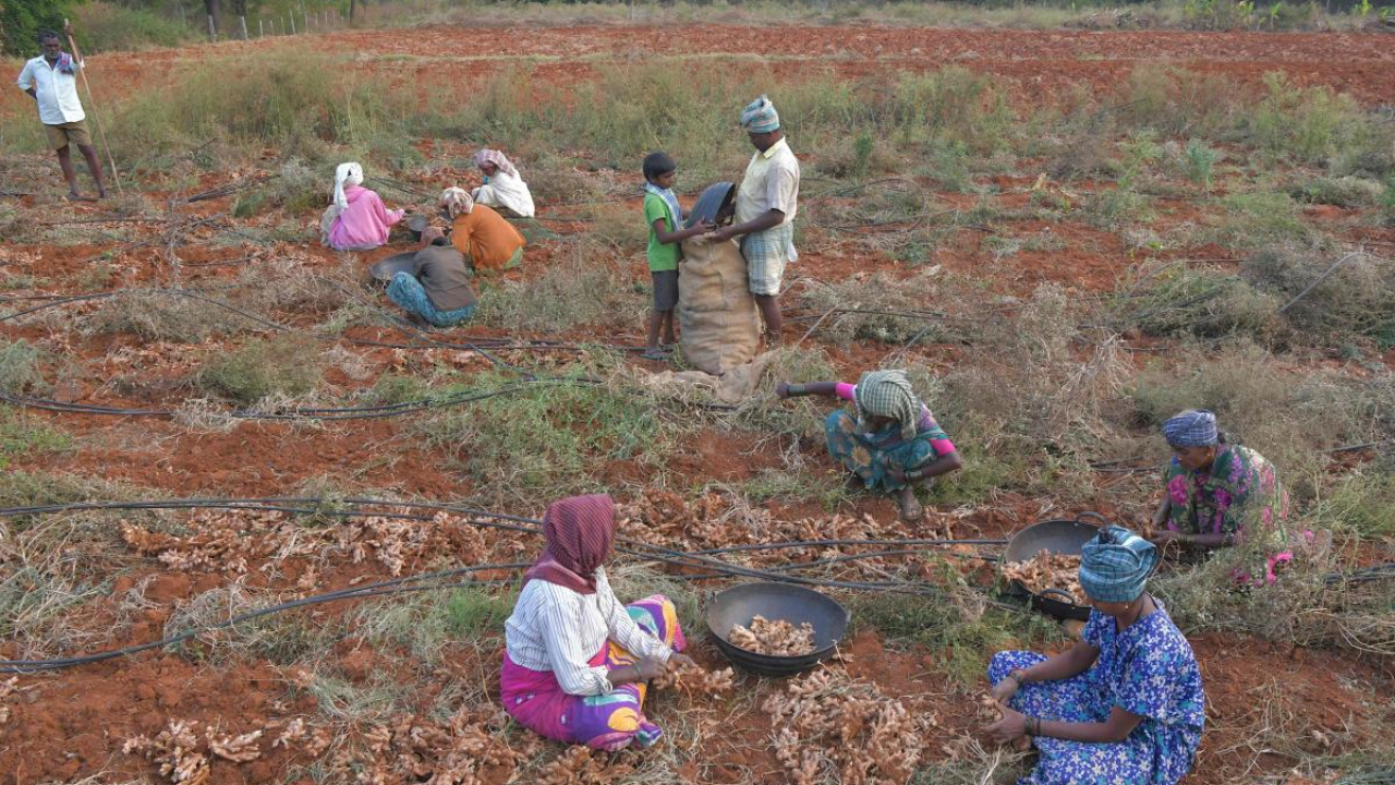 ‘Karnataka Covid-19 lockdown has caused Rs 1 lakh crore loss to farmers’