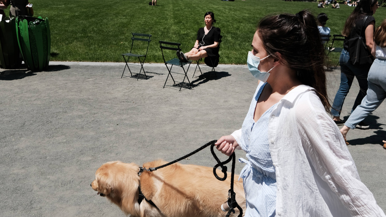 A glut of Chinese masks is driving US companies out of business