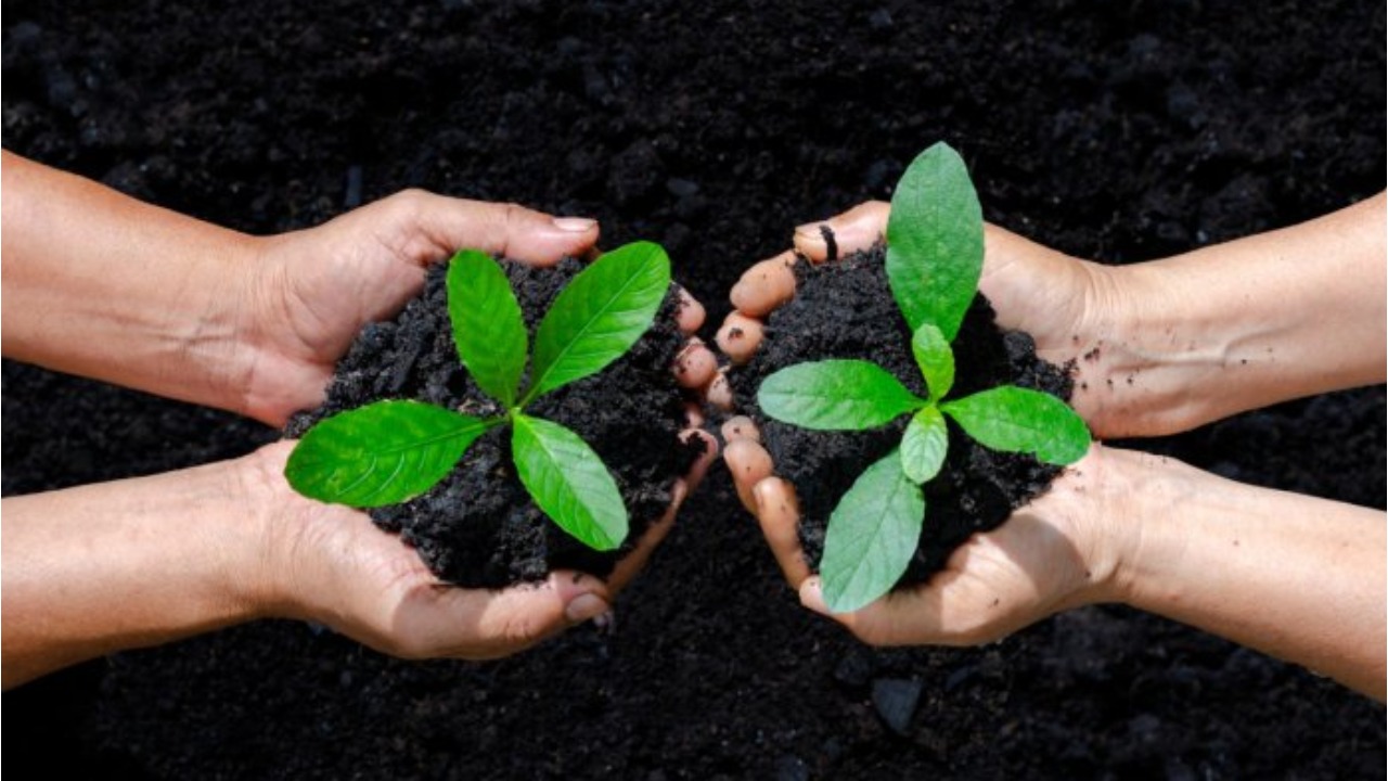 Ecosystem key to human health