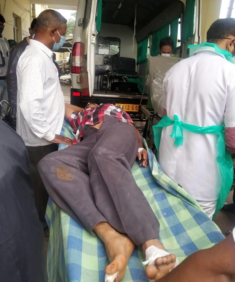 Man injured in elephant attack
