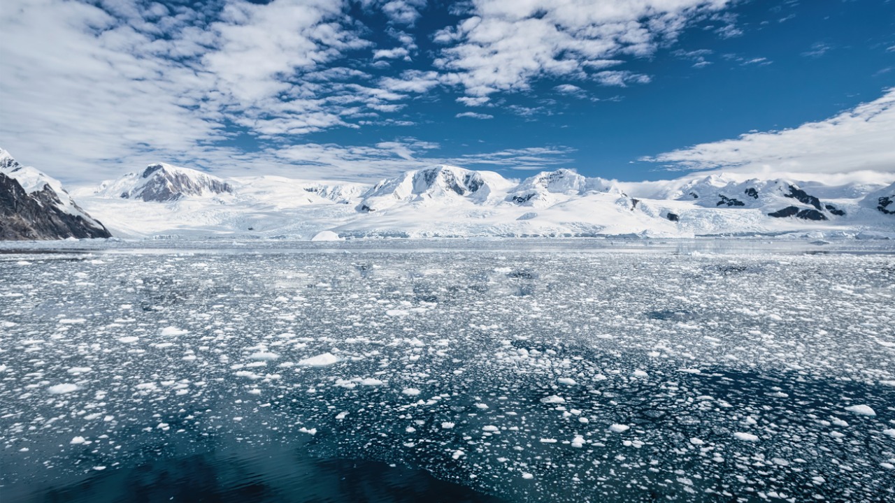 Ancient shark teeth lost in Antarctica millions of years ago recorded Earth’s climate history