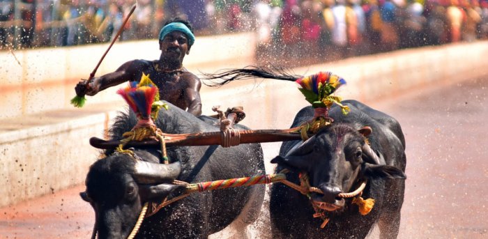 Kambala racer Srinivas Gowda gets threatening call