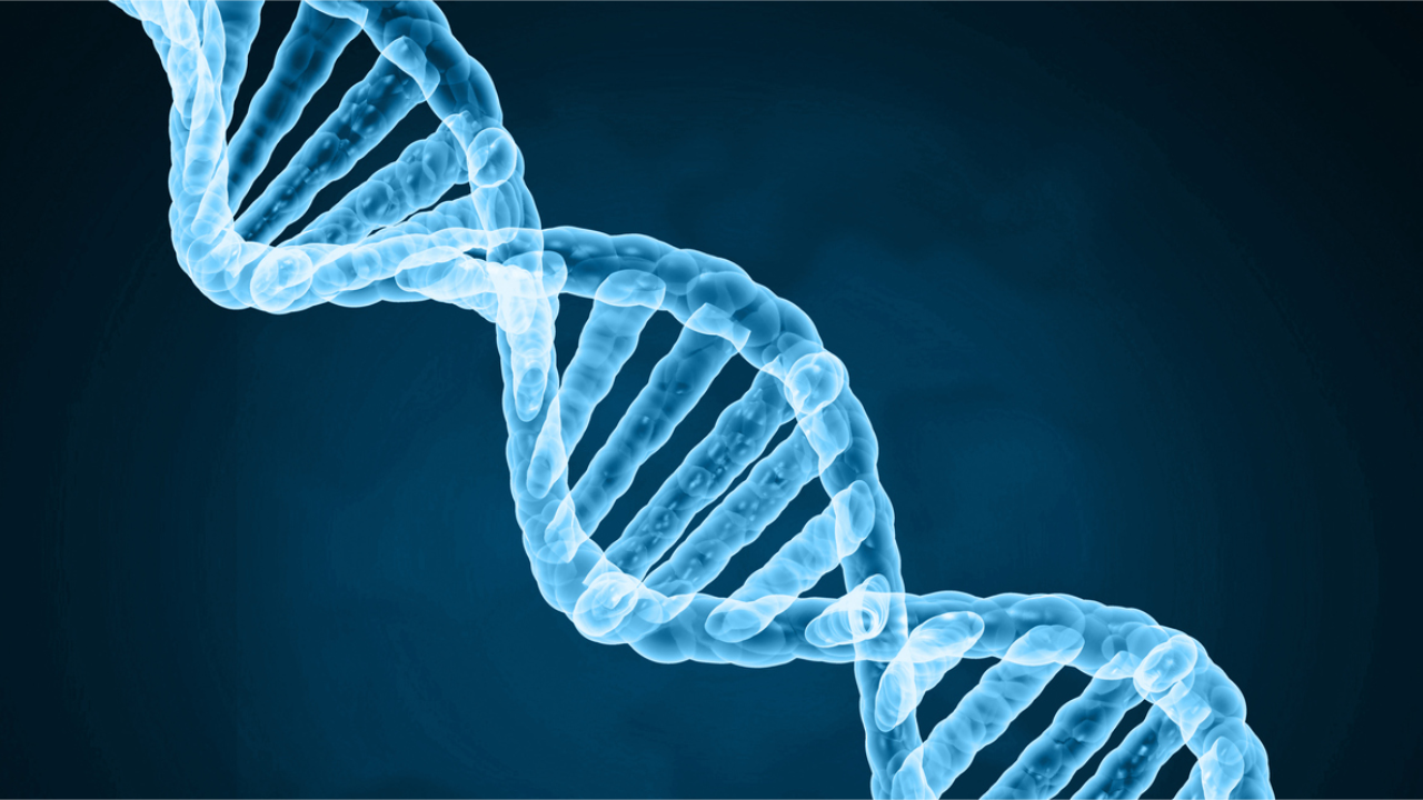 India's DNA data law seen to harm minorities, hurt privacy 